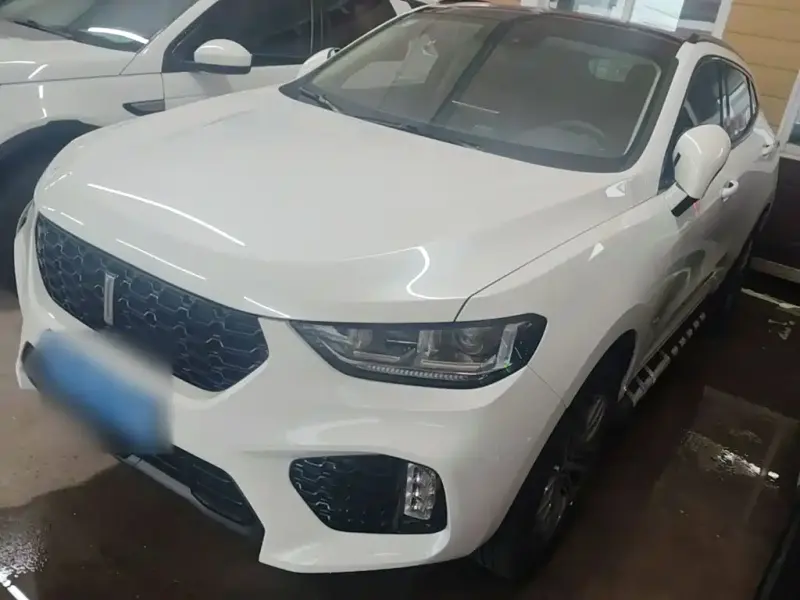 Wey VV5, 2019
