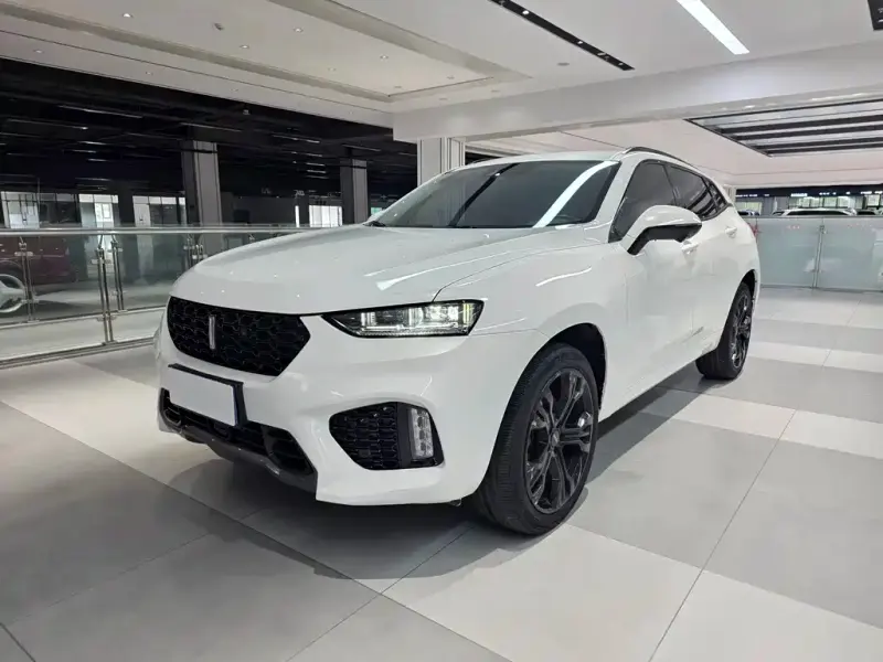Wey VV7, 2019