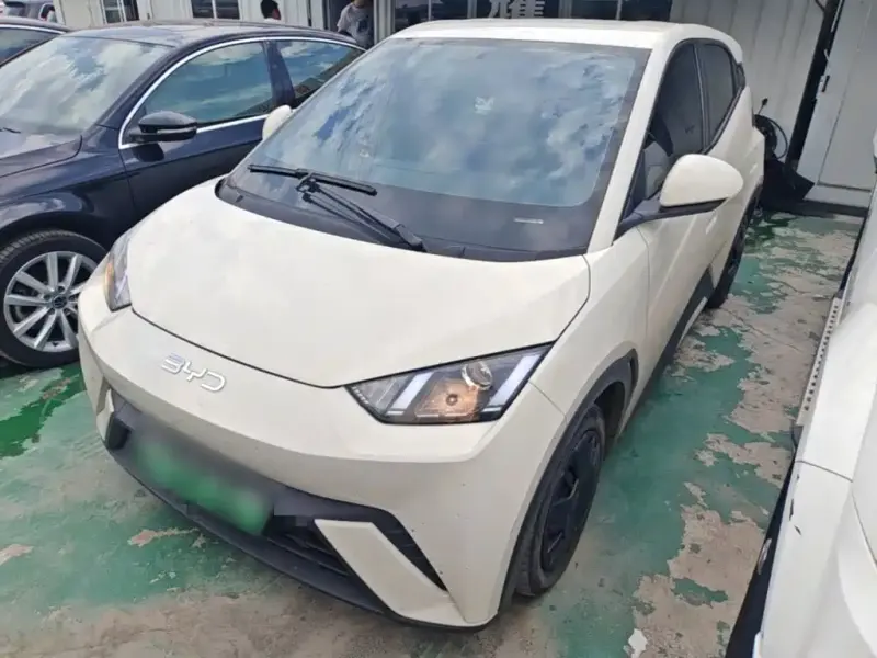 BYD Seagull, 2024