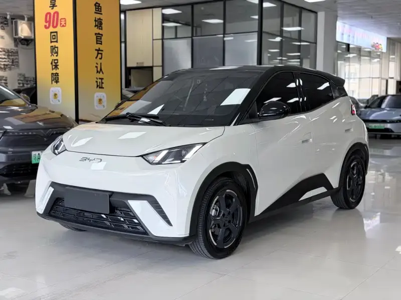 BYD Seagull, 2023
