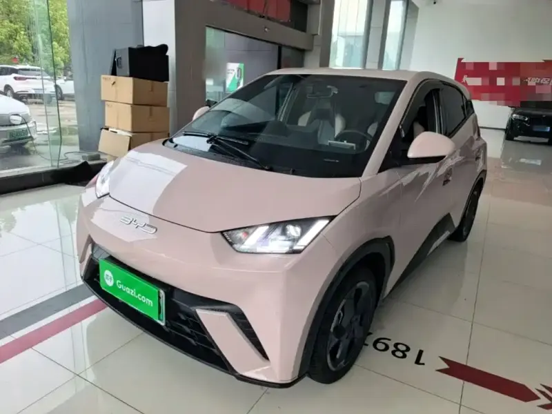 BYD Seagull, 2024