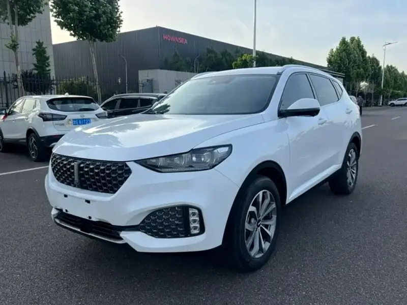 Wey VV6, 2019
