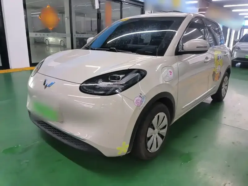 Wuling Bingo, 2024