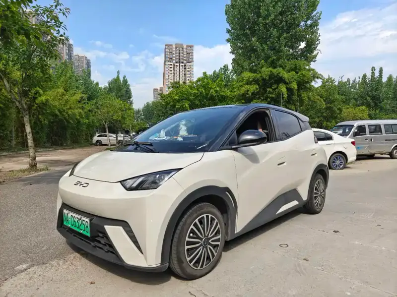 BYD Seagull, 2025