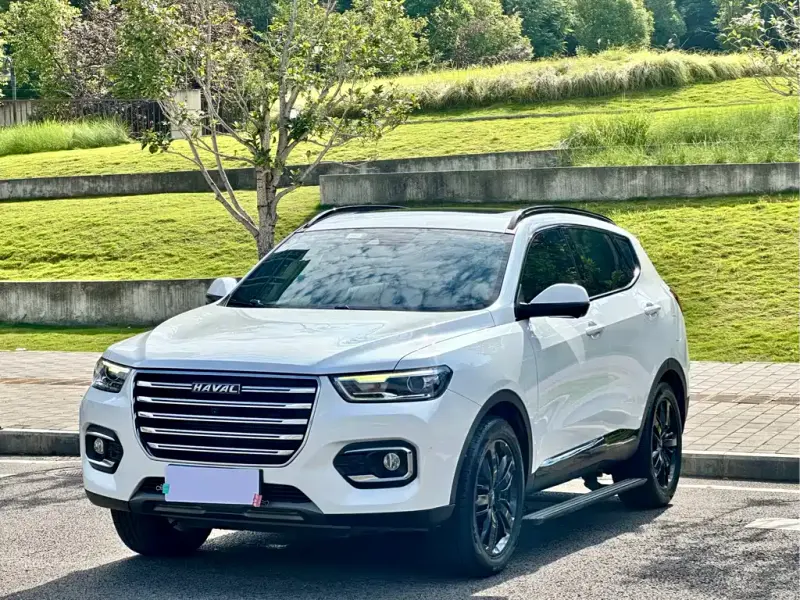 Haval H6, 2020