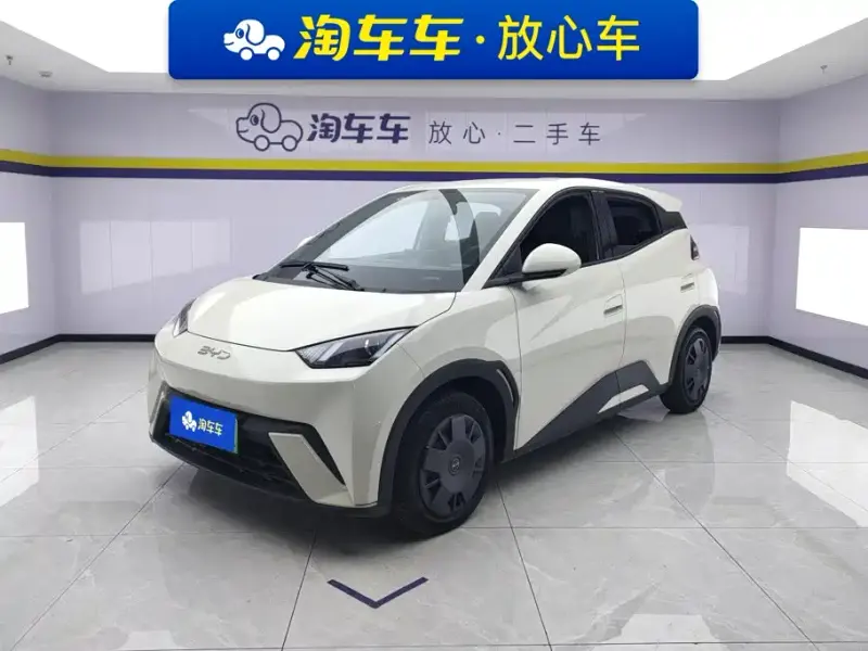 BYD Seagull, 2024