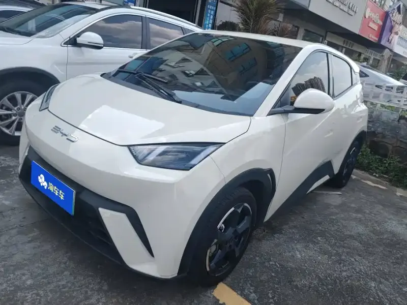 BYD Seagull, 2023