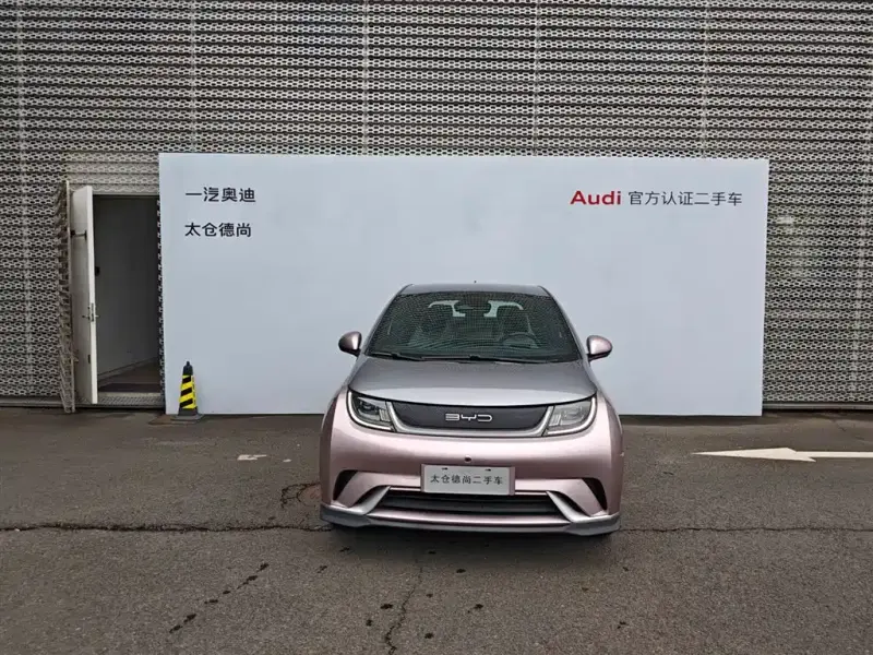 BYD Dolphin, 2021