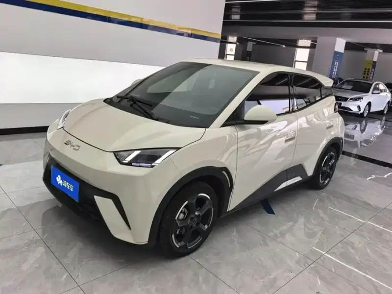 BYD Seagull, 2024