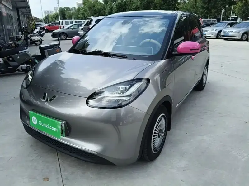 Wuling Bingo, 2024