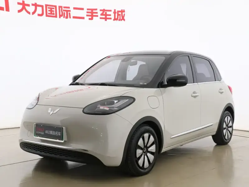 Wuling Bingo, 2024