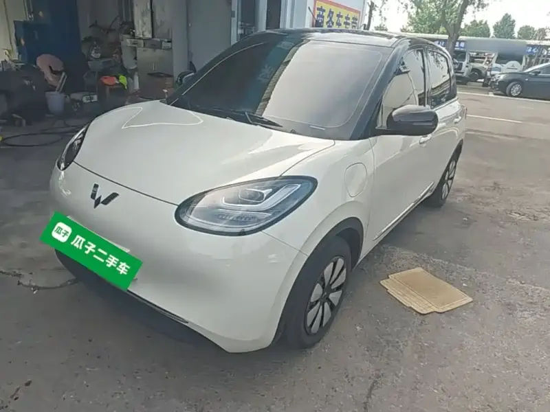 Wuling Bingo, 2024