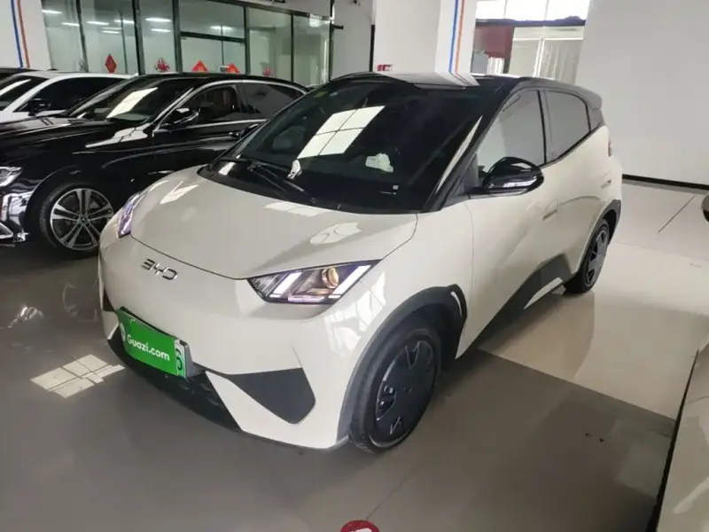 BYD Seagull, 2025