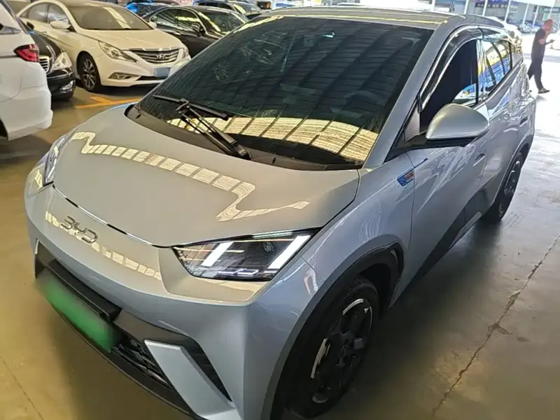 BYD Seagull, 2024
