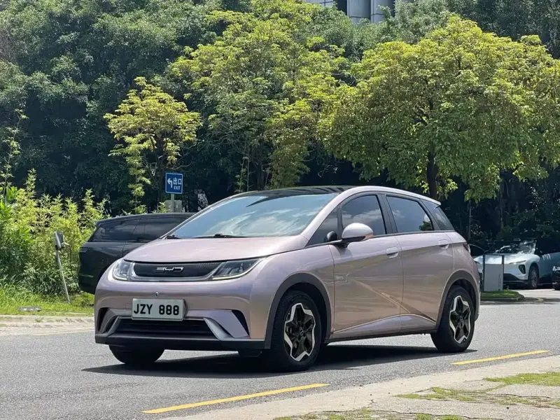 BYD Dolphin, 2022