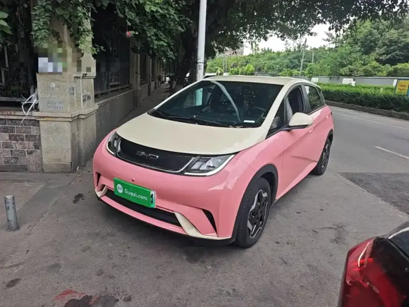BYD Dolphin, 2021
