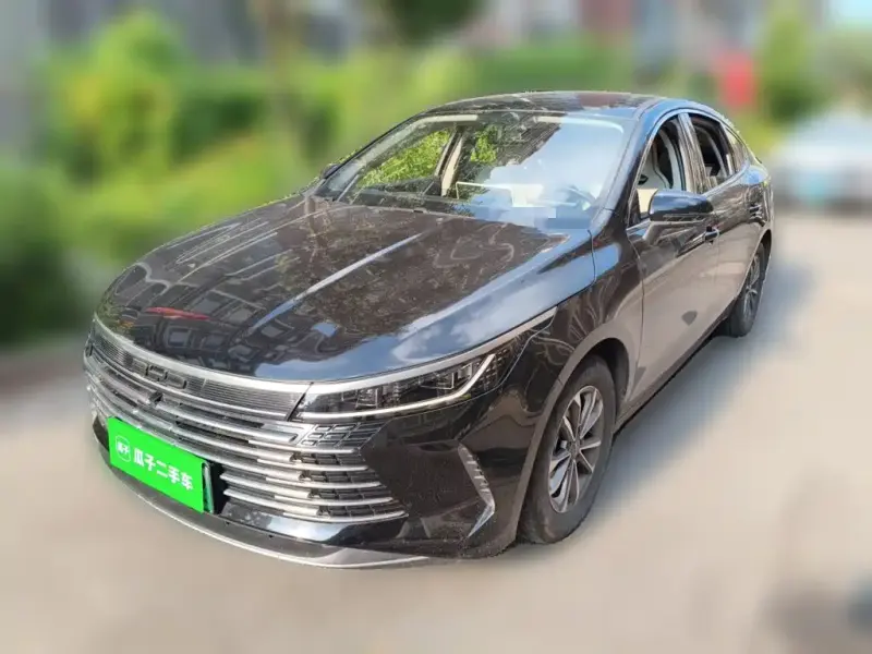 BYD Destroyer 05, 2024