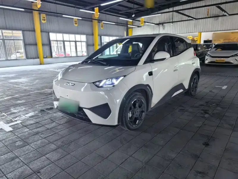 BYD Seagull, 2025