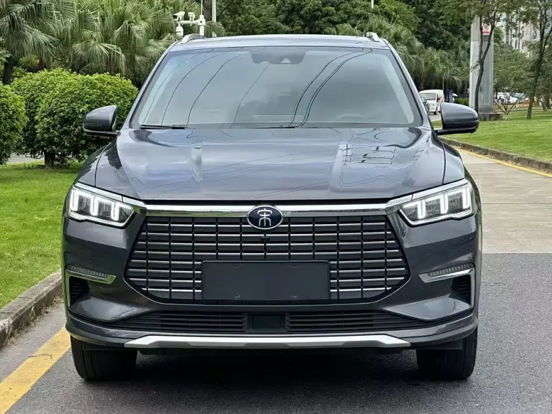BYD Pro New Energy, 2020