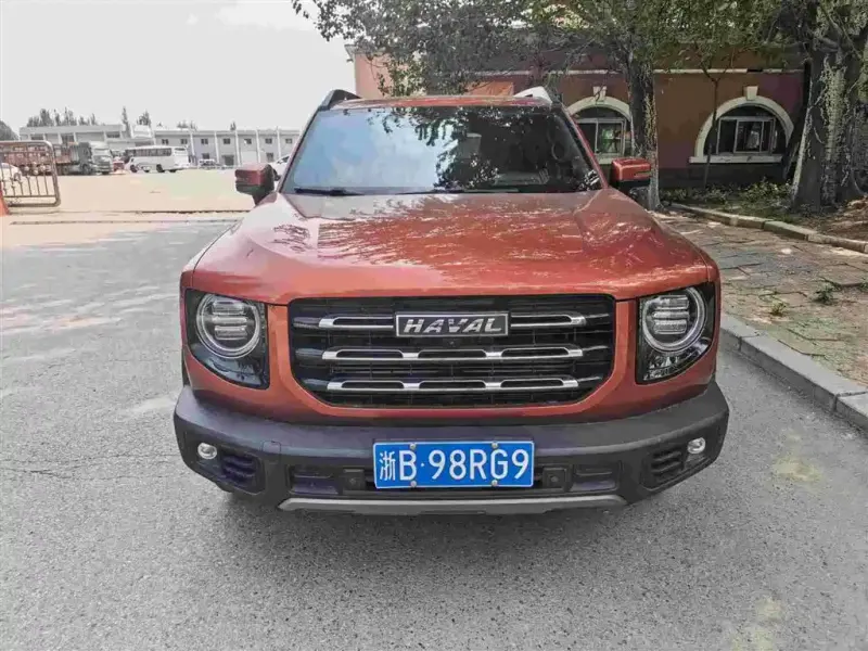 Haval Big Dog, 2021