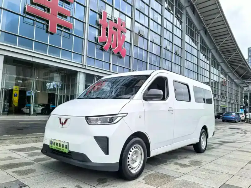 Wuling Yangguang, 2024