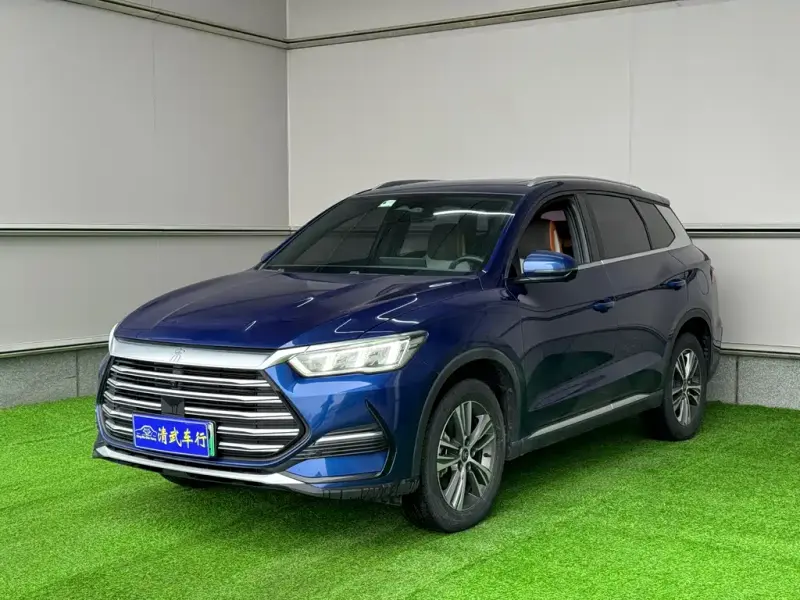 BYD Pro New Energy, 2022