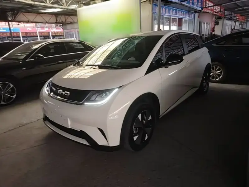 BYD Dolphin, 2024