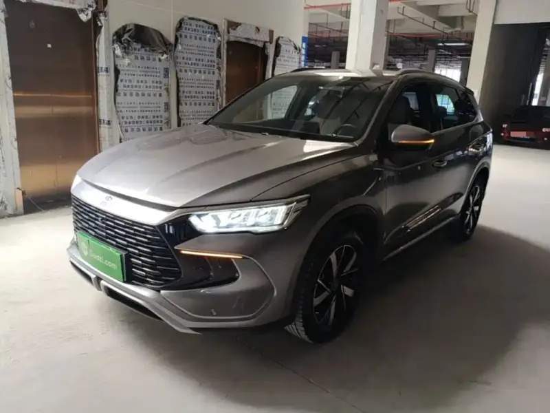 BYD Pro New Energy, 2024