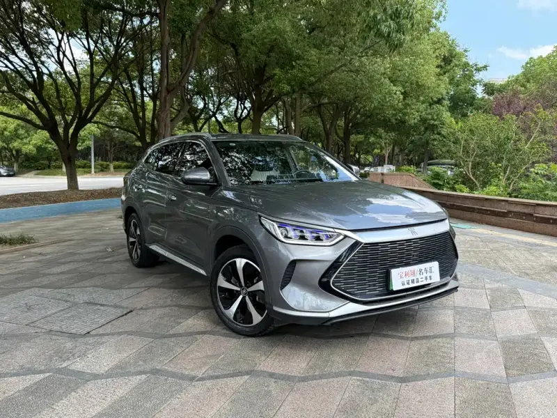 BYD PLUS New Energy, 2021