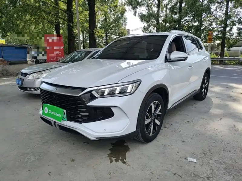 BYD Pro New Energy, 2024
