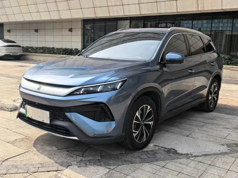 BYD Pro New Energy, 2024