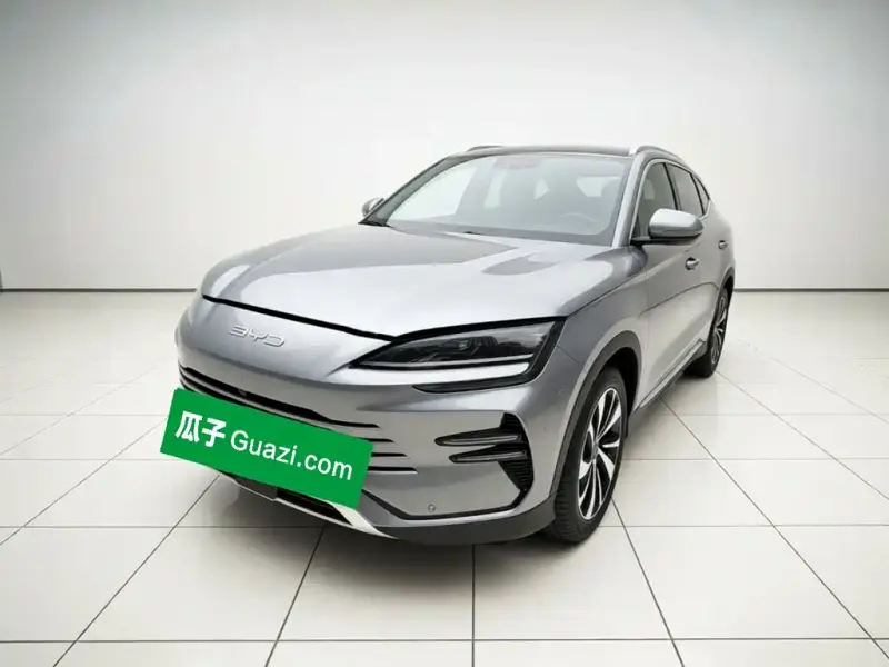BYD PLUS New Energy, 2024