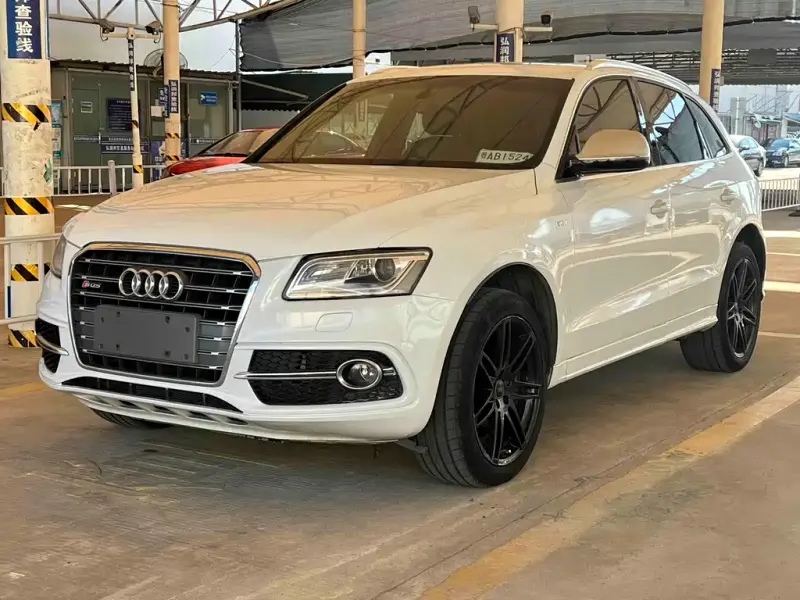 Audi SQ5, 2016
