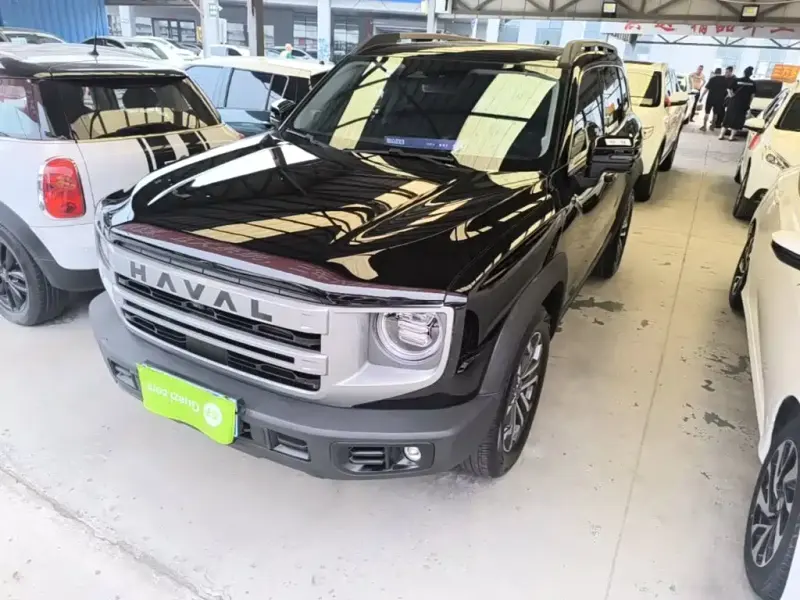 Haval Big Dog, 2024