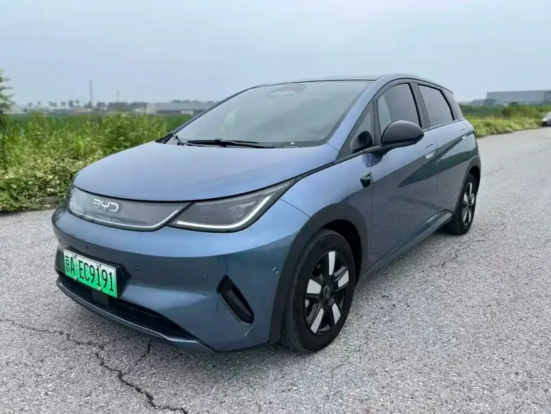 BYD Dolphin, 2025