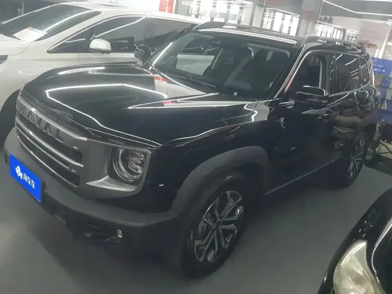 Haval Big Dog, 2024