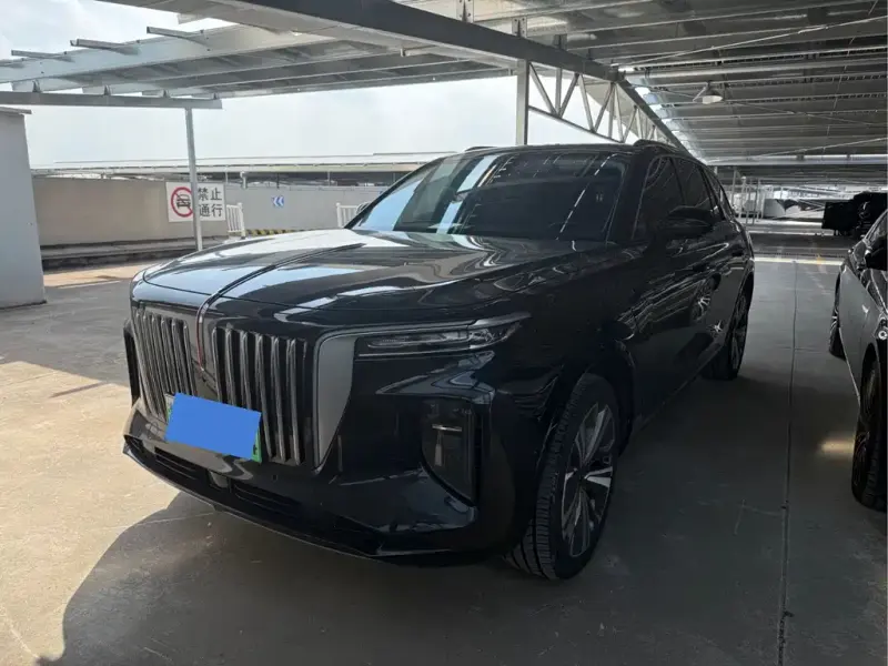 Hongqi E-HS9, 2021