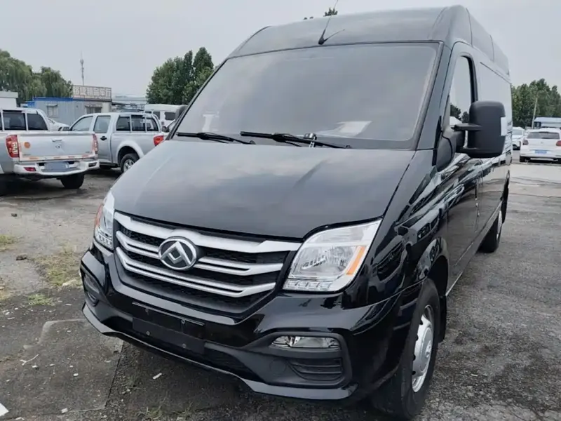 Maxus V80, 2024