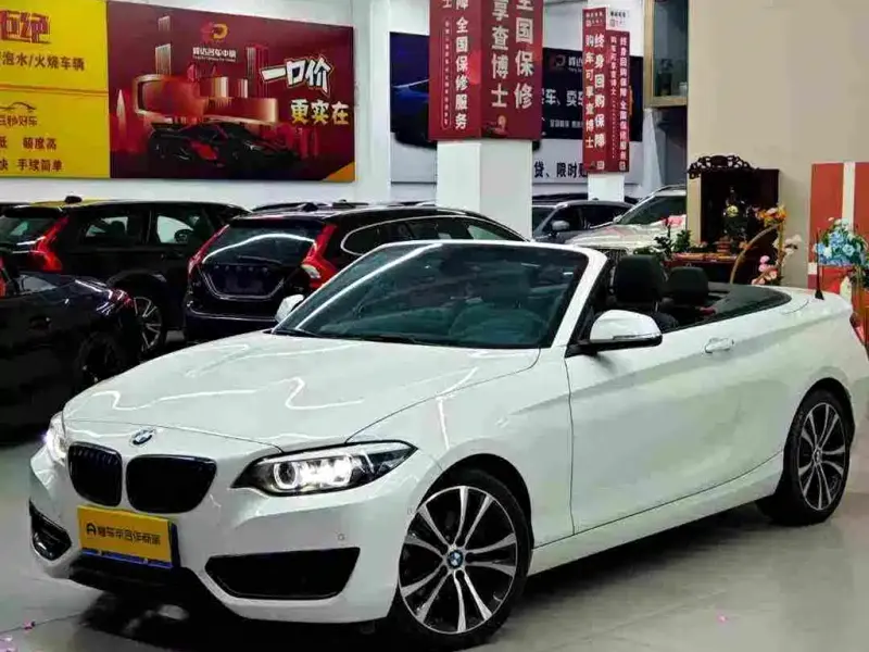BMW 2 Series (Import), 2020