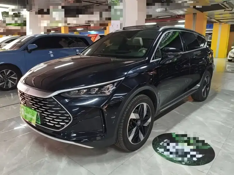 BYD Tang New Energy, 2024
