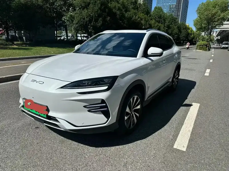 BYD PLUS New Energy, 2024