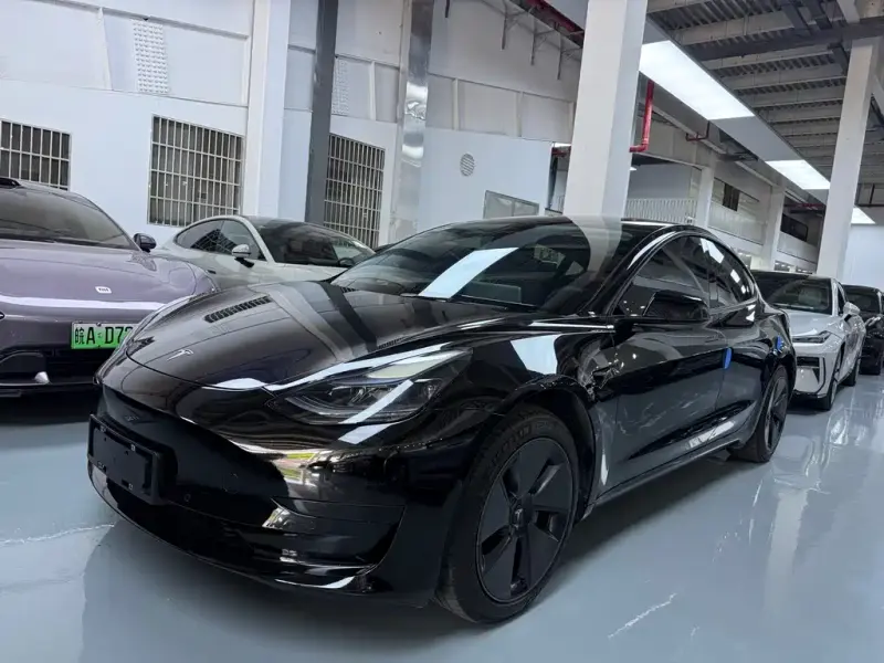 Tesla Model 3, 2022