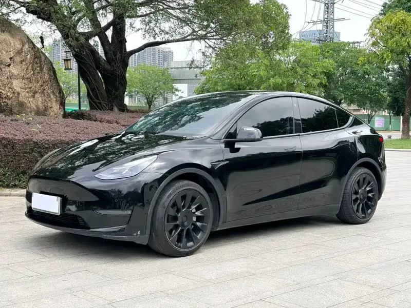 Tesla Model Y, 2021