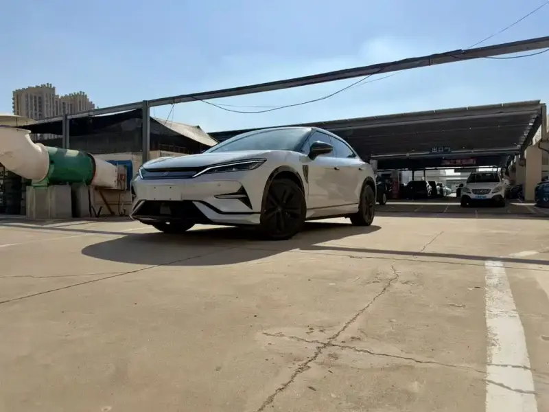 BYD L EV, 2024