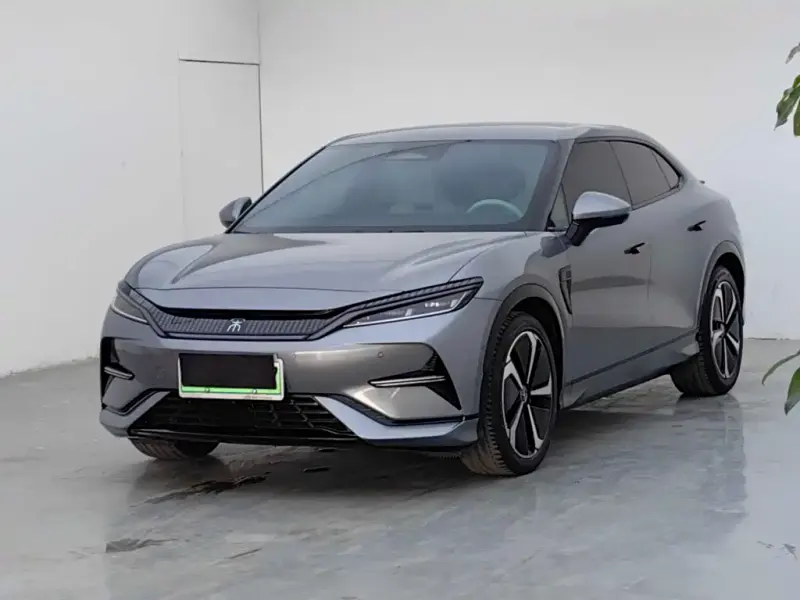 BYD L EV, 2024
