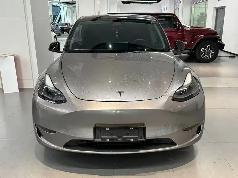 Tesla Model Y, 2021