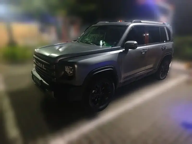 Haval Menglong New Energy, 2025