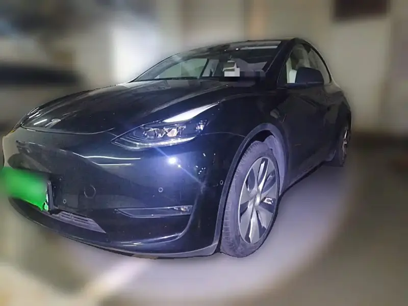 Tesla Model Y, 2021