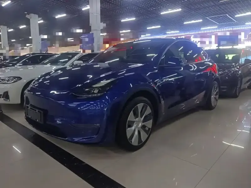 Tesla Model Y, 2021