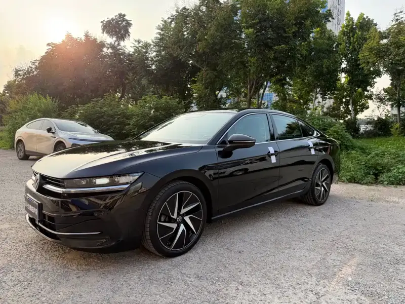 Volkswagen Magotan, 2024